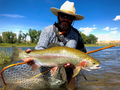 Montana Guided Fly Fishing